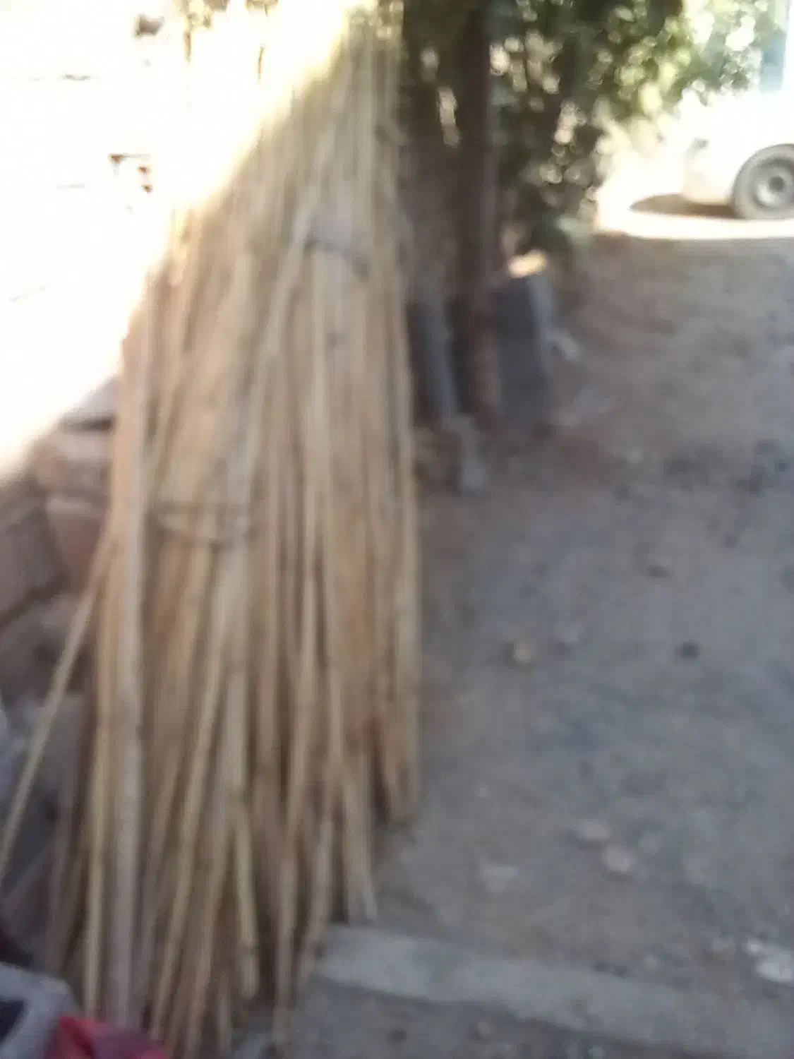 نی تمیز و پاک شده|سازهای سنتی|ایوان, |دیوار