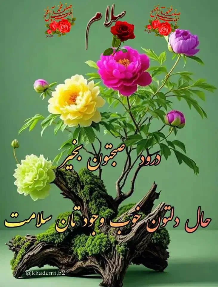 نظافت منزل|خدمات نظافت|مشهد, هفت تیر (نه دره)|دیوار