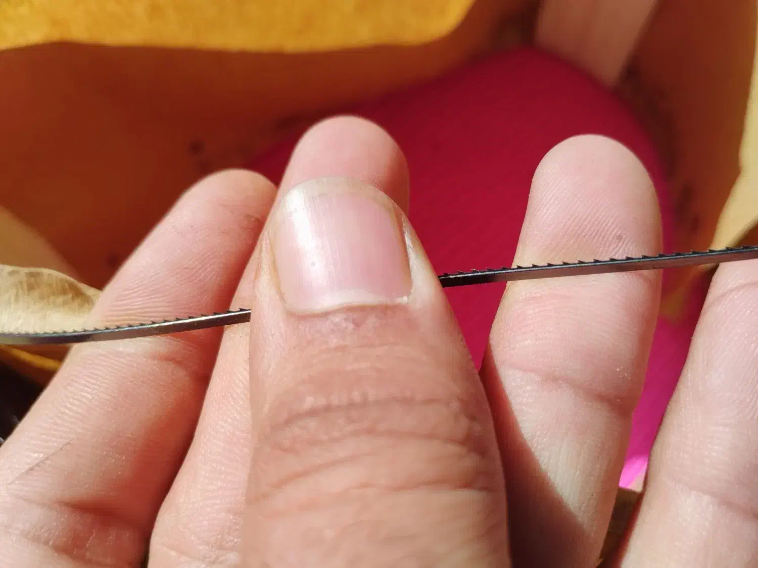 تیغ اره برقی معرق کاری و مویی|ابزارآلات|بردسکن, |دیوار