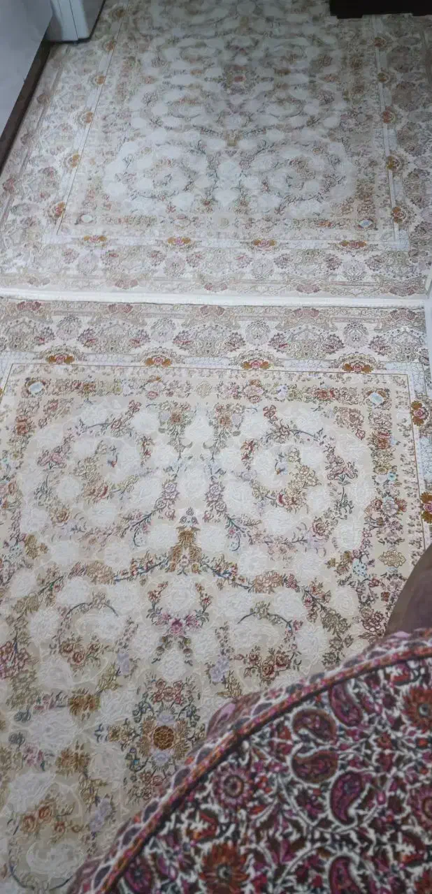 فرش|فرش|مشهد, قائم|دیوار