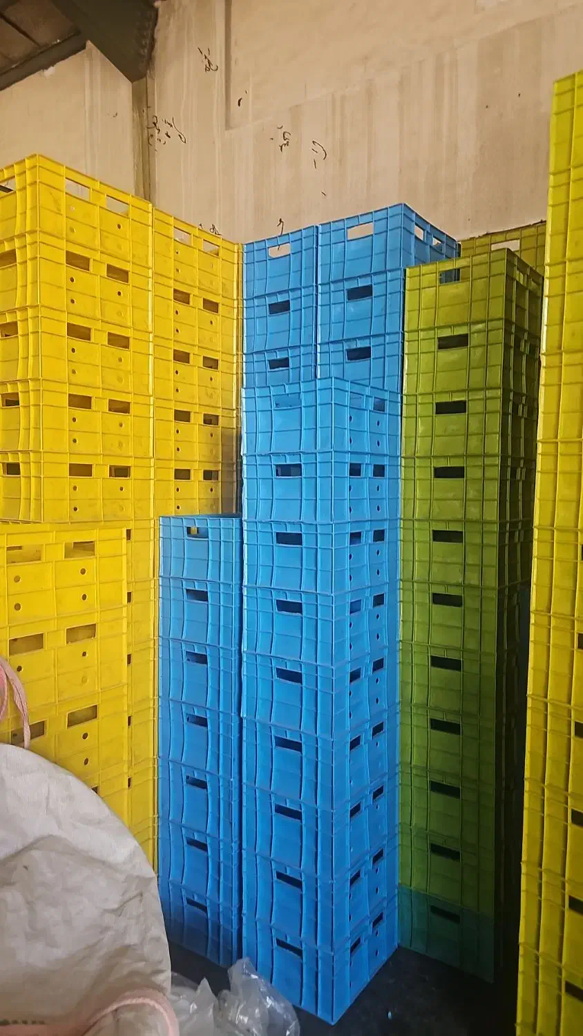 سبد جعبه گالن بشکه|عمدهفروشی|شیراز, گل سرخ|دیوار