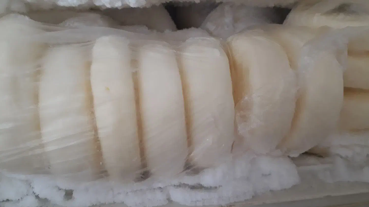 کره گاوی|خوردنی و آشامیدنی|دشت ذهاب, |دیوار