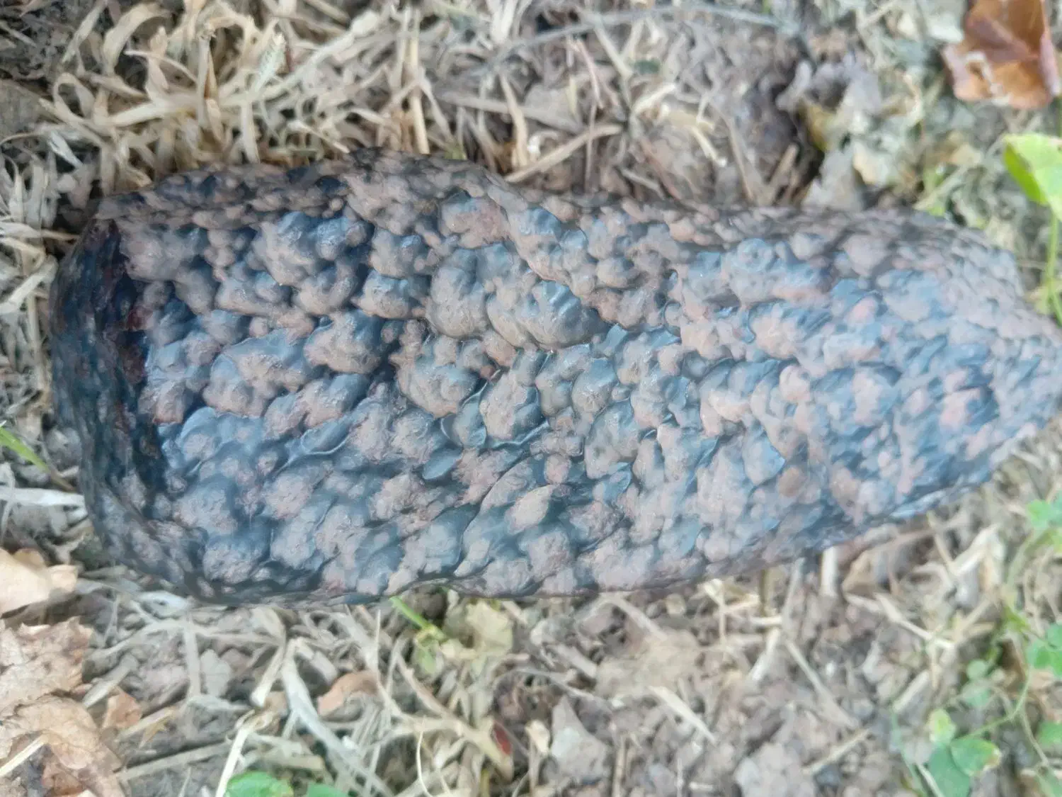 شهابسنگ|کلکسیون و سرگرمی|دلگان, |دیوار