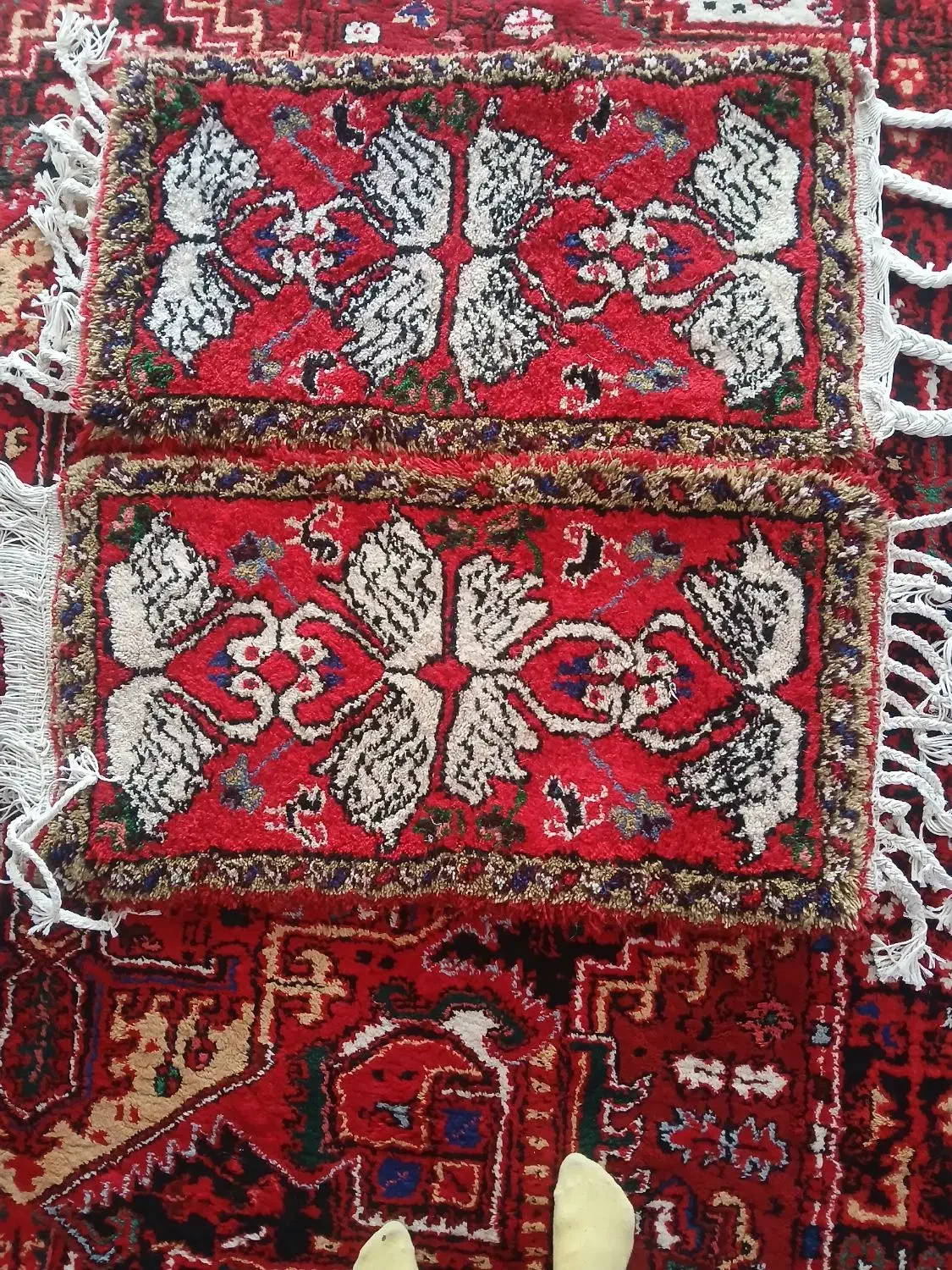 فروش جفت فرش پادری|پادری|تبریز, |دیوار