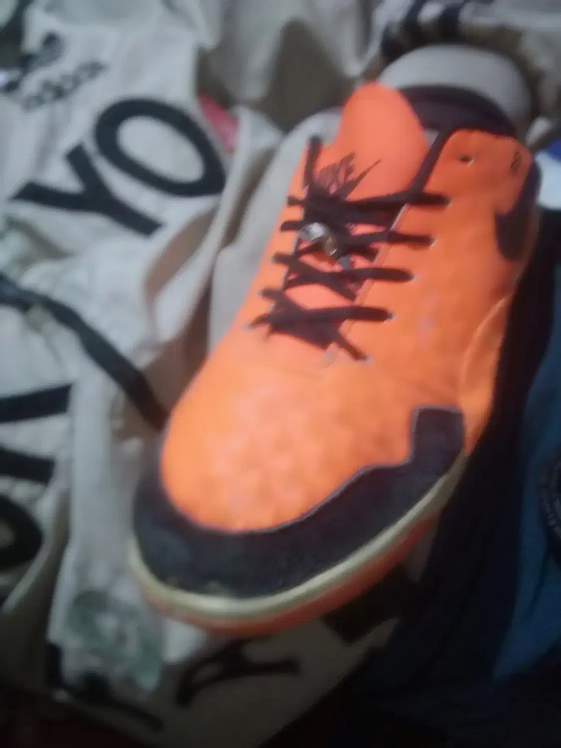 کفش سالن|کیف، کفش، کمربند|اهر, |دیوار