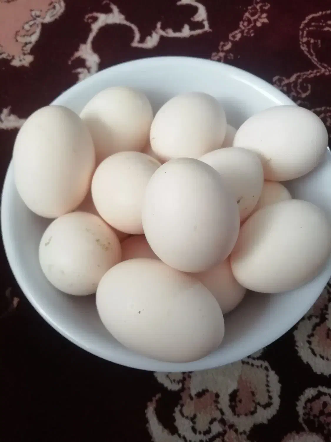 تخم مرغ گلین لری|خوردنی و آشامیدنی|مشهد, شهرک رازی (شهرک غرب)|دیوار