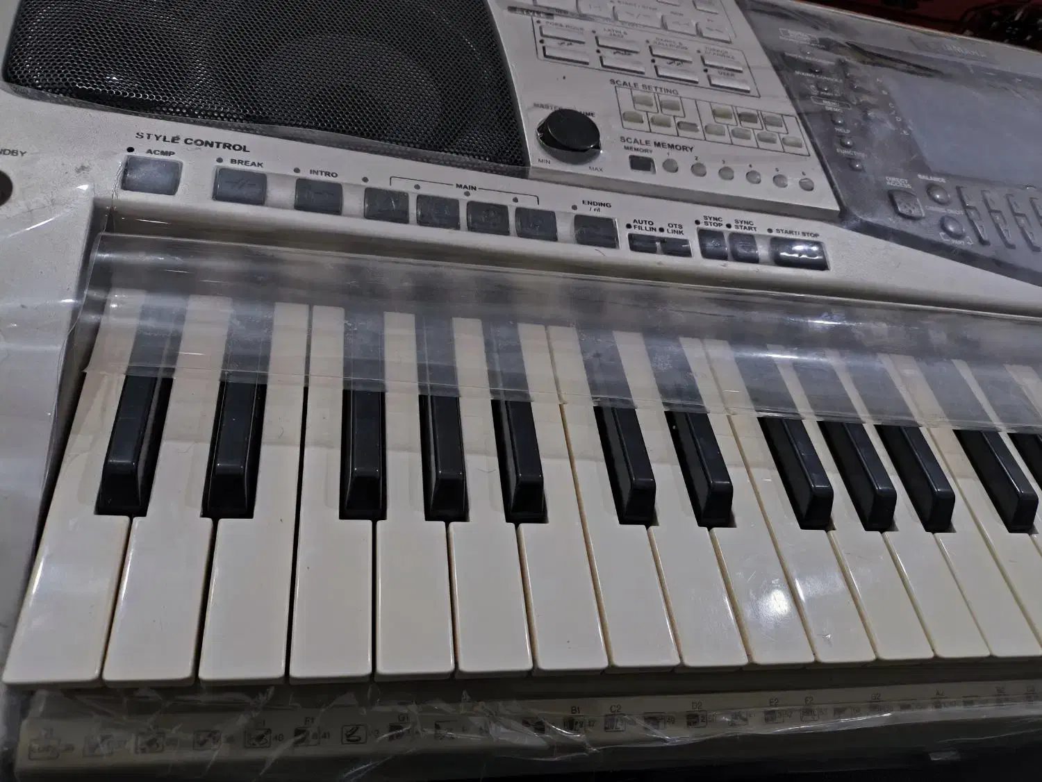 ...|پیانو، کیبورد، آکاردئون|سراوان, |دیوار