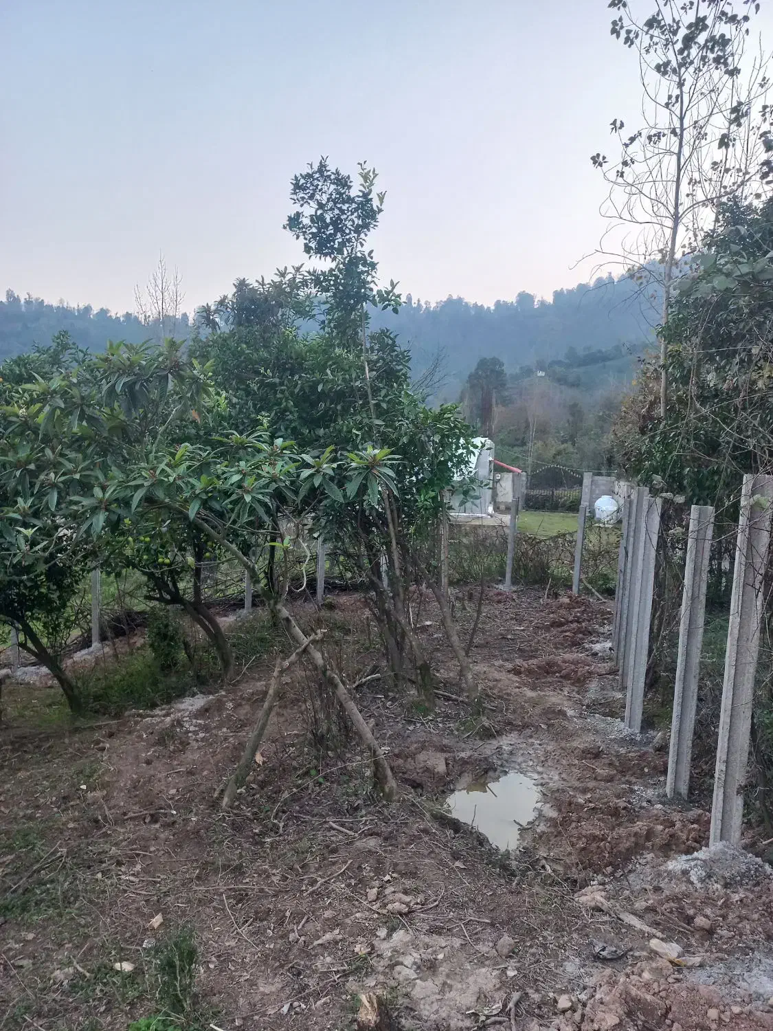 زمین ۶۰۰متری معاوضه با خانه در رشت|فروش زمین و ملک کلنگی|احمدسرگوراب, |دیوار