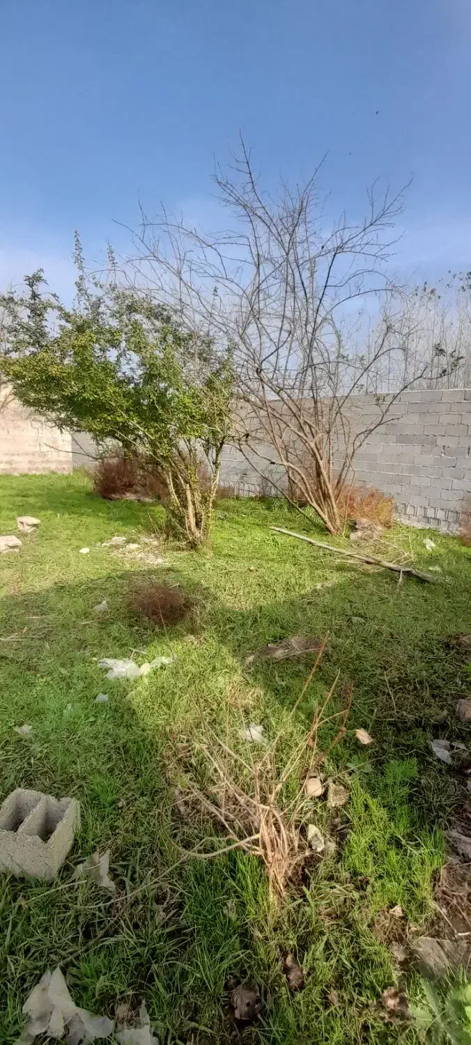 فروش زمین مسکونی ۶۰۰متری با بنای قدیمی|فروش زمین و ملک کلنگی|آستانه اشرفیه, |دیوار