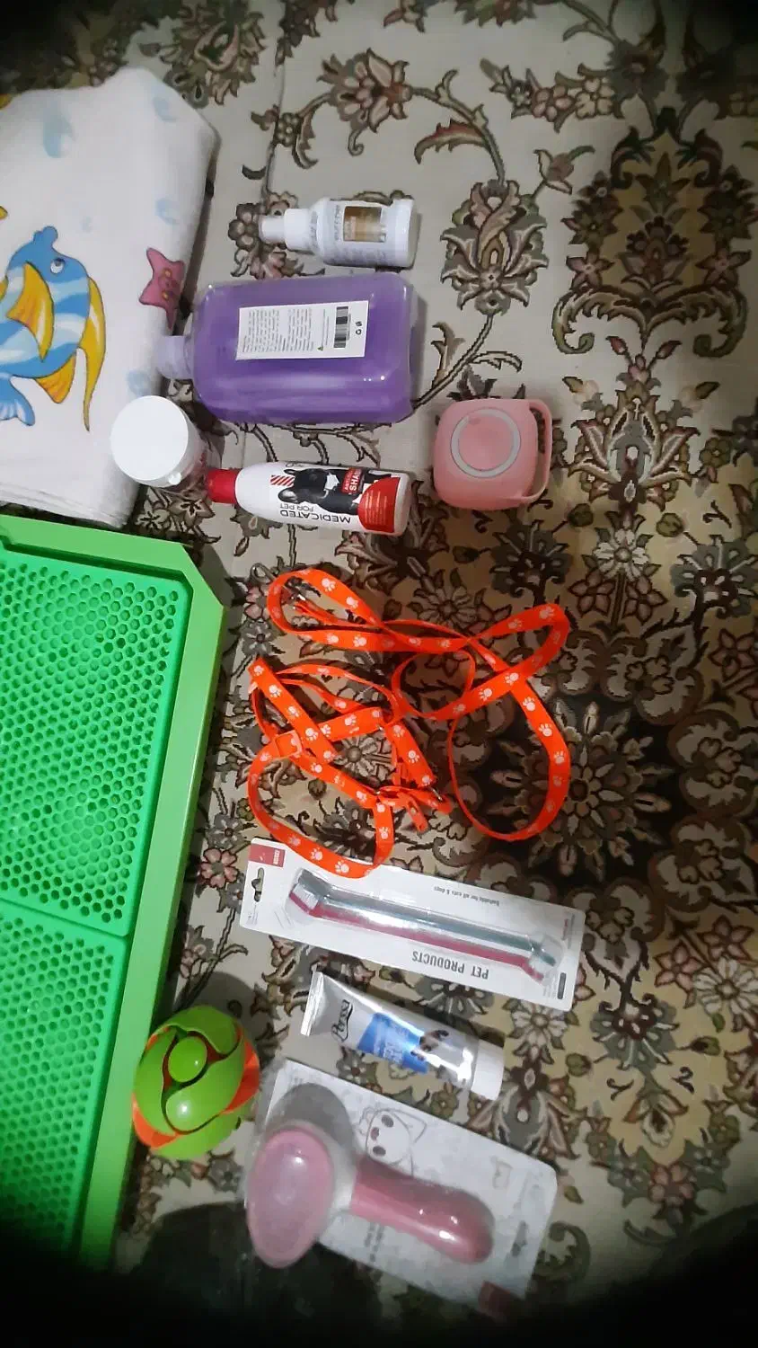 لوازم مورد نیاز پِت|لوازم جانبی حیوانات|کاشان, آیت الله سعیدی|دیوار