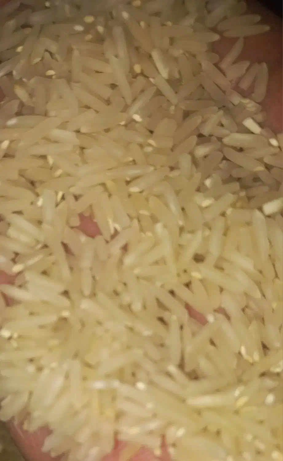 برنج طارم یک یک|عمدهفروشی|کوهدشت, |دیوار