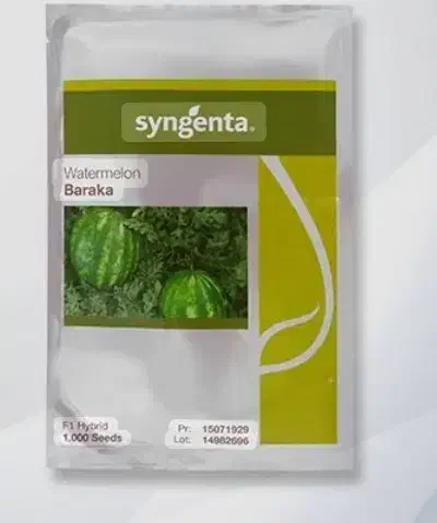 انواع بذر|خدمات باغبانی و درختکاری|شاهین‌شهر, شیخ بهایی|دیوار