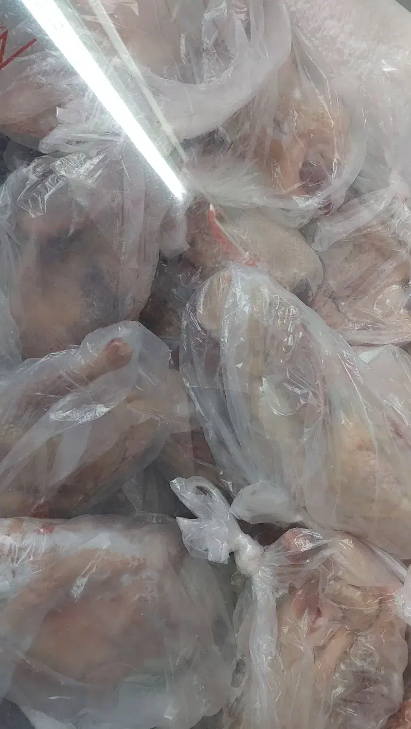 اردک و خروس و مرغ|خوردنی و آشامیدنی|چوبر, |دیوار