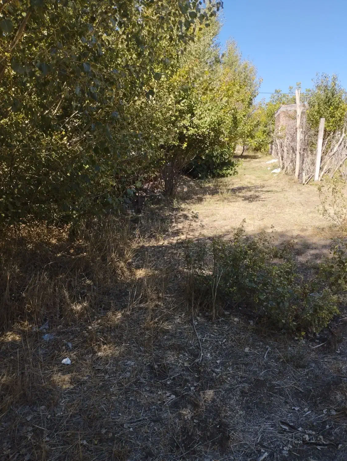 باغچه داخل بافت با مجوزساخت|فروش زمین و ملک کلنگی|ارشق, |دیوار