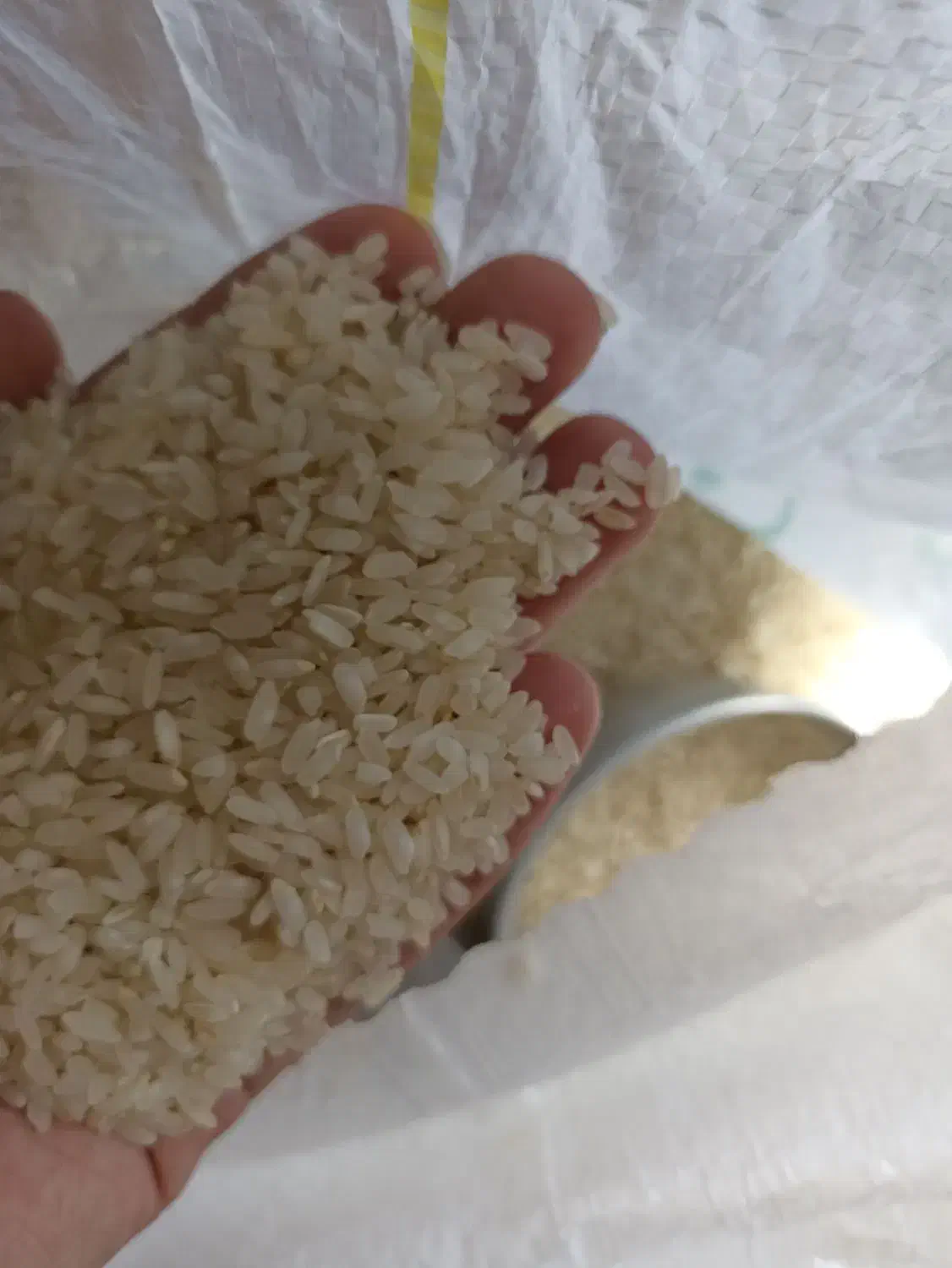 برنج درجه ا کامفیروز|عمده‌فروشی|سپیدان, |دیوار