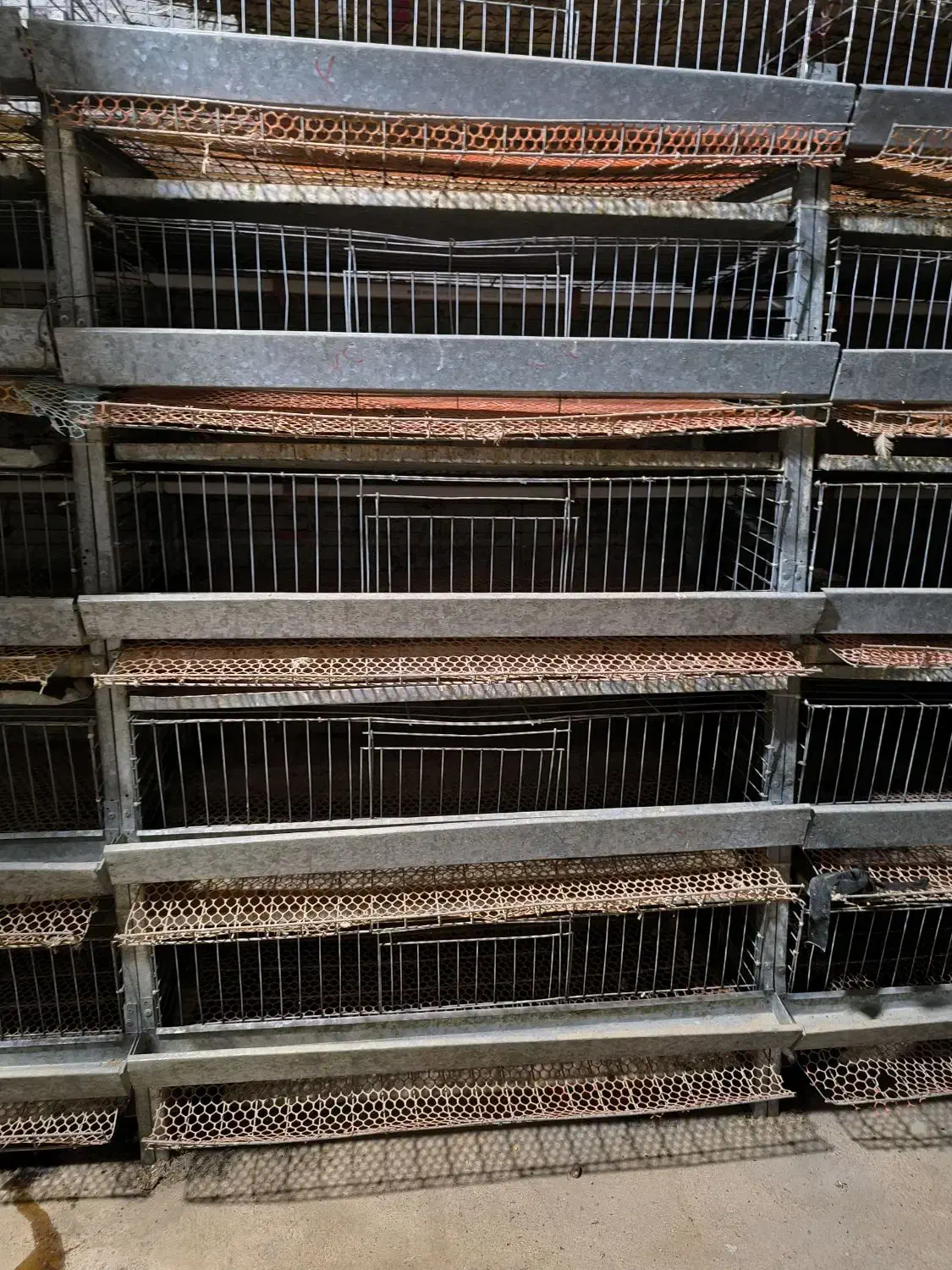 قفس بلدرچین|لوازم جانبی حیوانات|سعدآباد, |دیوار