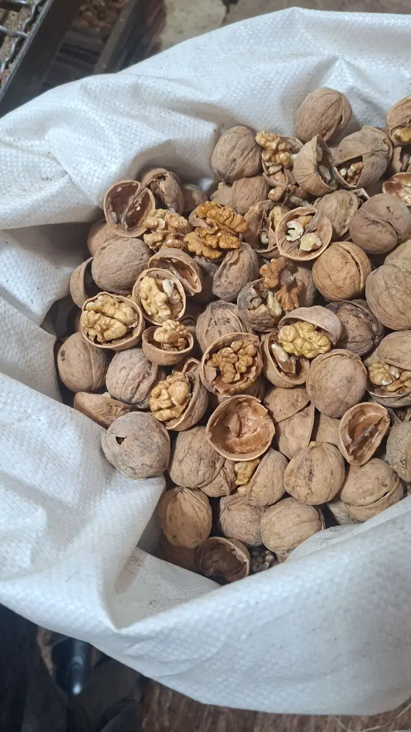 به چند نفر برای کار در کارگاه گردو نیازمندیم|استخدام خدمات فروشگاه و رستوران|آذرشهر, |دیوار