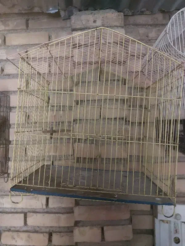 مقداری قفس پرنده برا فروش دارم|لوازم جانبی حیوانات|دزفول, |دیوار
