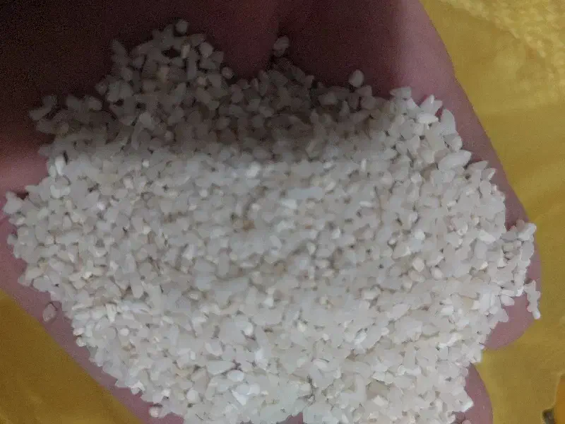 فروش عمده برنج شمال قیمت رقابتی|خوردنی و آشامیدنی|قم, شاه ابراهیم|دیوار