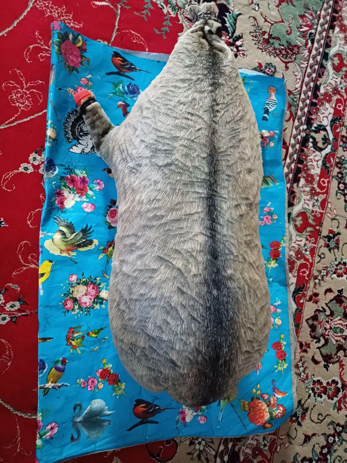 هیزه روغن حیوانی|صنایع دستی و سایر لوازم تزئینی|کوهدشت, |دیوار