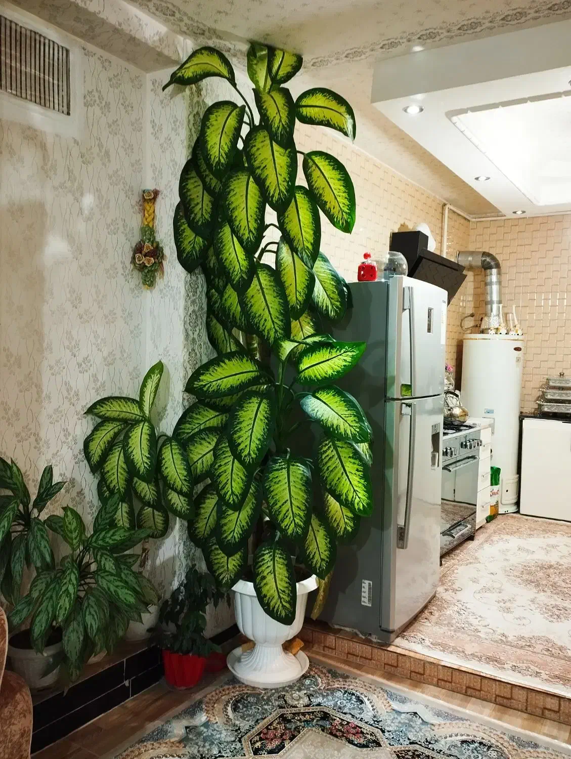 گل دیفن|گل و گیاه طبیعی|سنندج, |دیوار