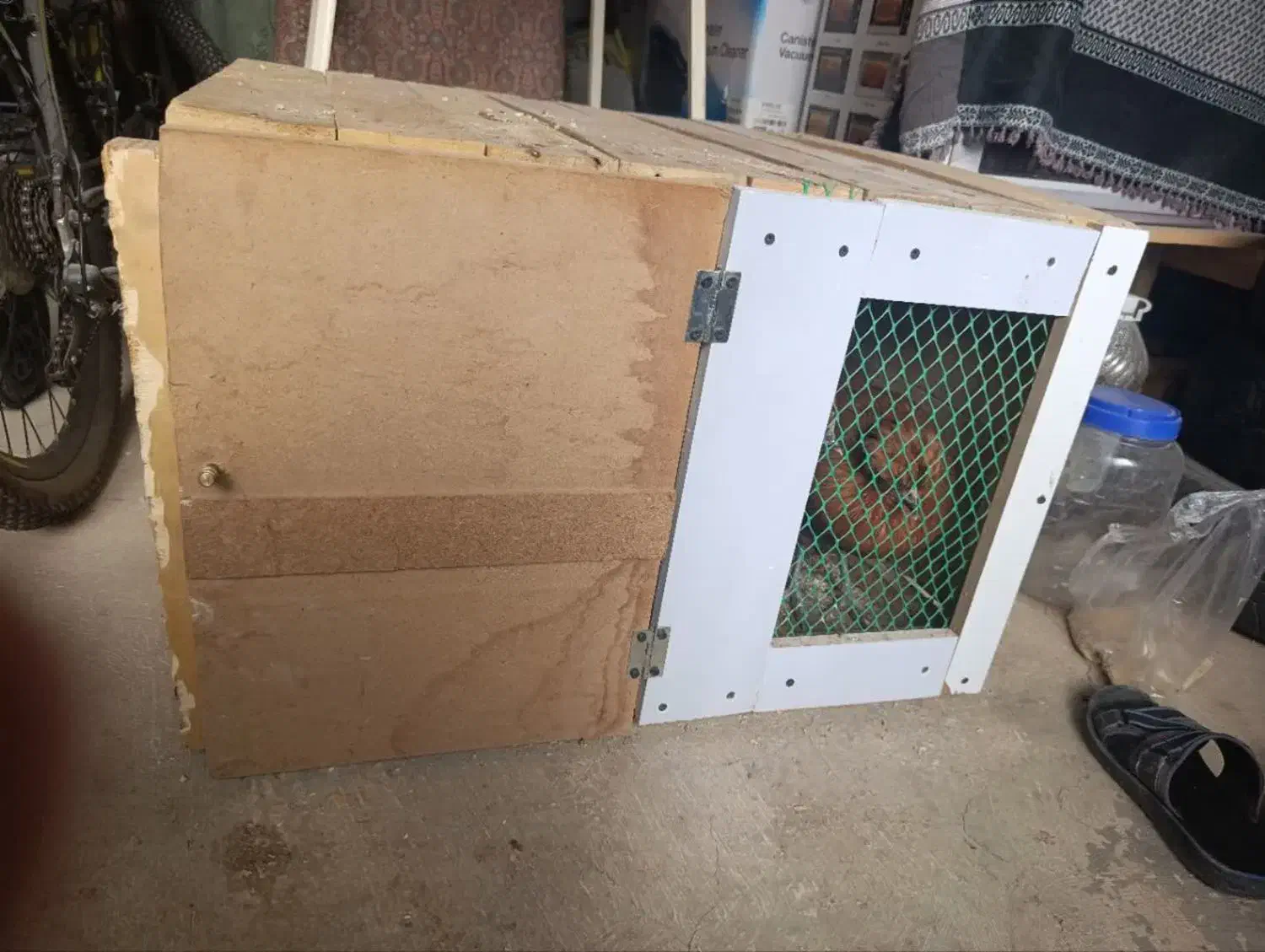 لانه چوبی برای حیوانات|لوازم جانبی حیوانات|زنجان, |دیوار