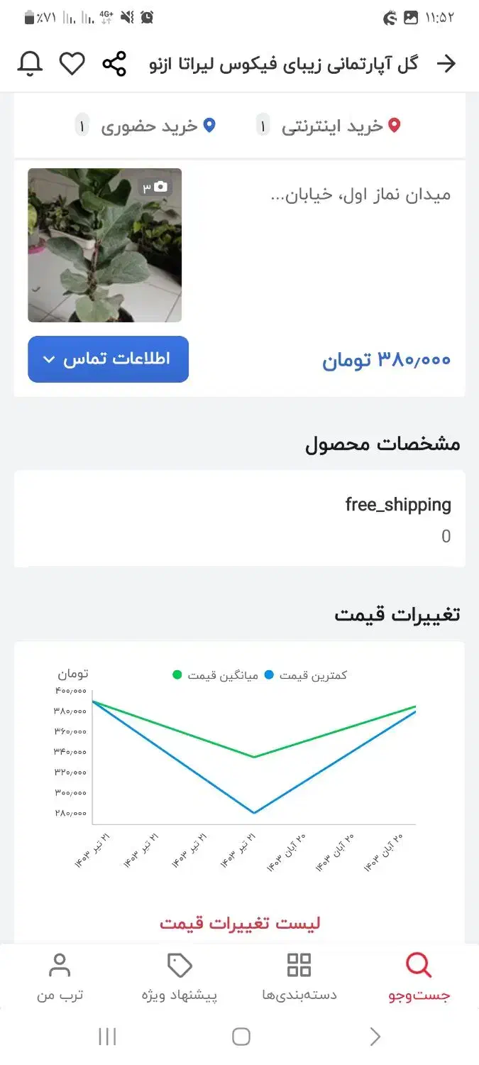 گیاه آپارتمانی فیکوس لیراتا|گل و گیاه طبیعی|قم, پردیسان|دیوار