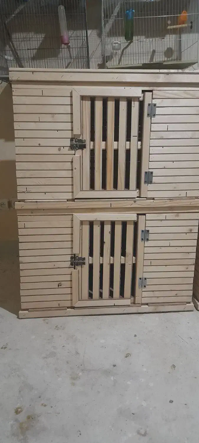 قفس کبوتر|لوازم جانبی حیوانات|تبریز, |دیوار