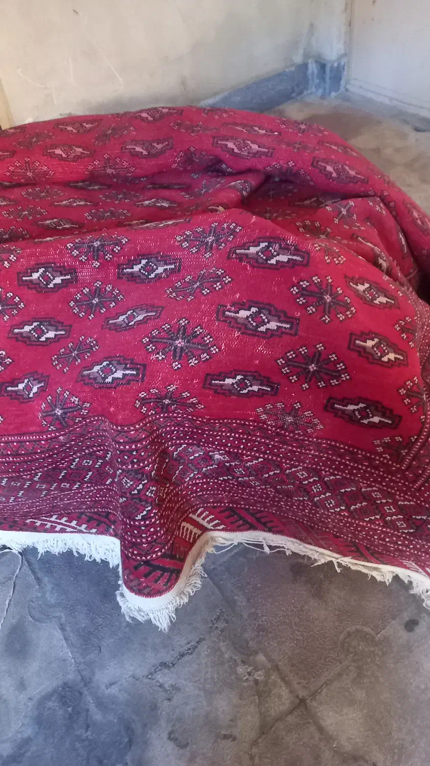 قالیچه دست بافت قدیمی|فرش|گرگان, |دیوار