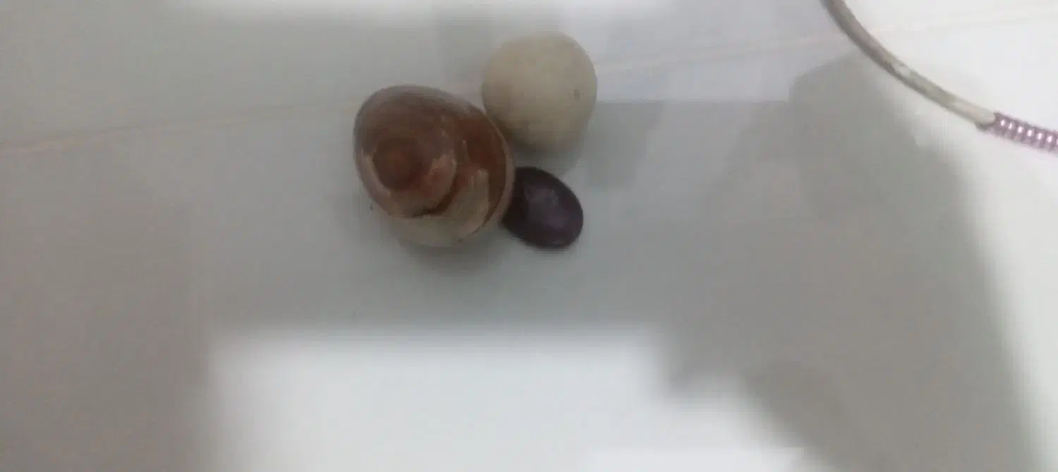 سنگهای خوشگل زیبا معاوضه|کلکسیون اشیاء عتیقه|نیشابور, دهنو|دیوار