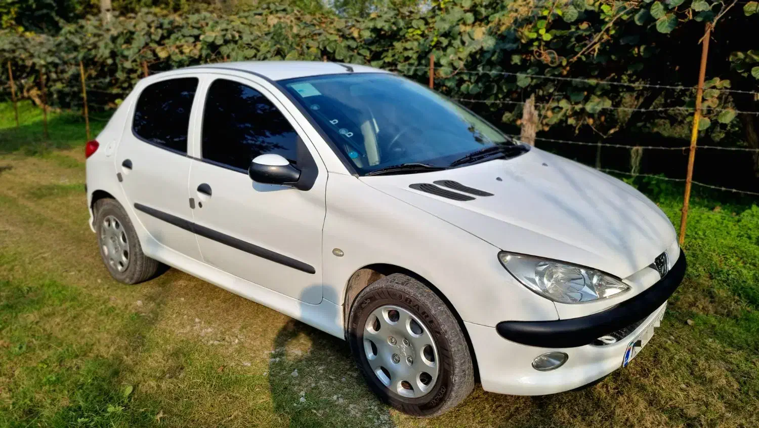 ۲۰۶ تیپ پنج دریچه گاز سیمی|خودرو سواری و وانت|عباس‌آباد, |دیوار