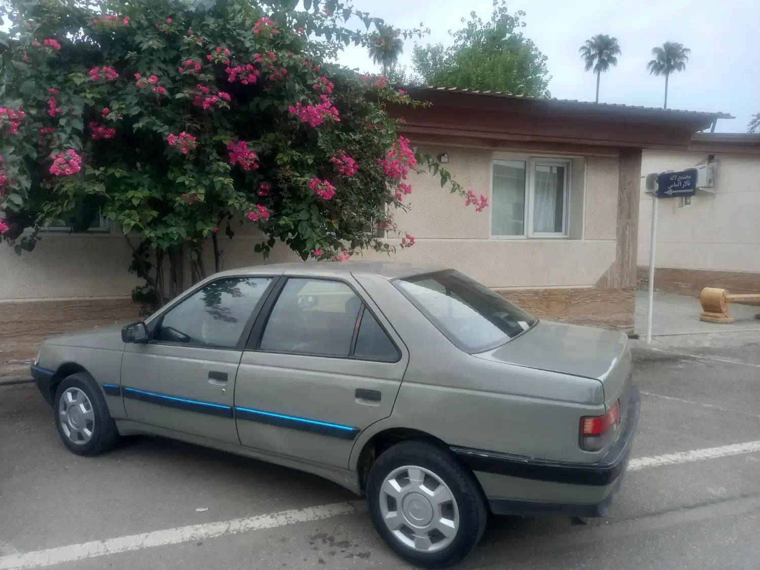 پژو آردی ۸۲|خودرو سواری و وانت|شهریار, شهریار|دیوار