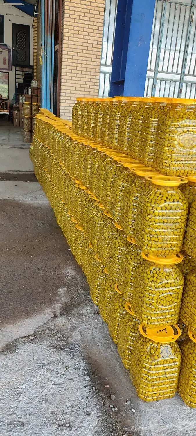 زیتون ویژه|عمدهفروشی|قم, شهرک خودرو|دیوار