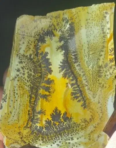 سنگ شجر|جواهرات|بیرجند, |دیوار