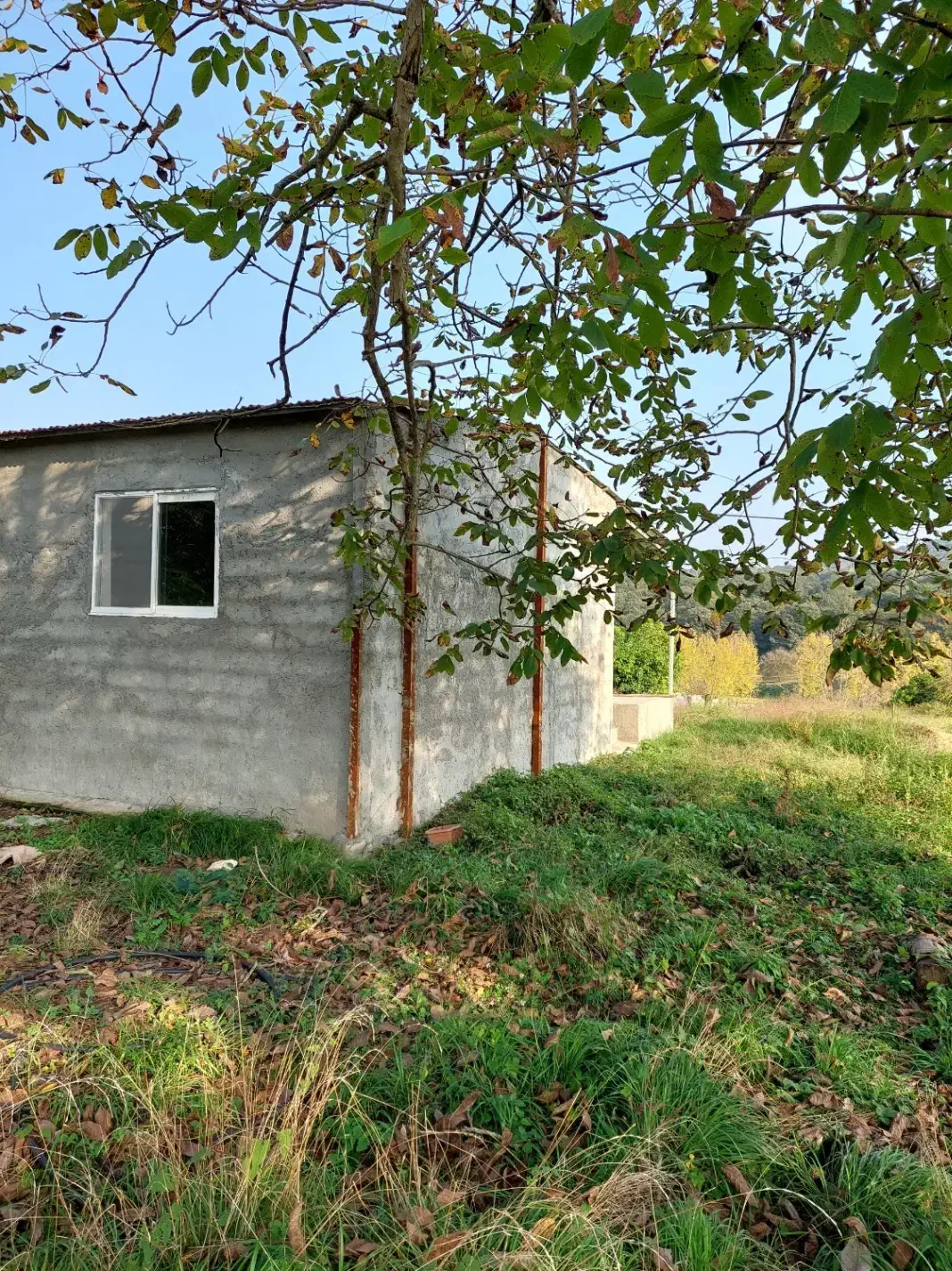 ۱۹۰۰ متر زمین دارای بنای ۴۵ متری و اجازه ساخت|فروش زمین و ملک کلنگی|پایین هولار, |دیوار