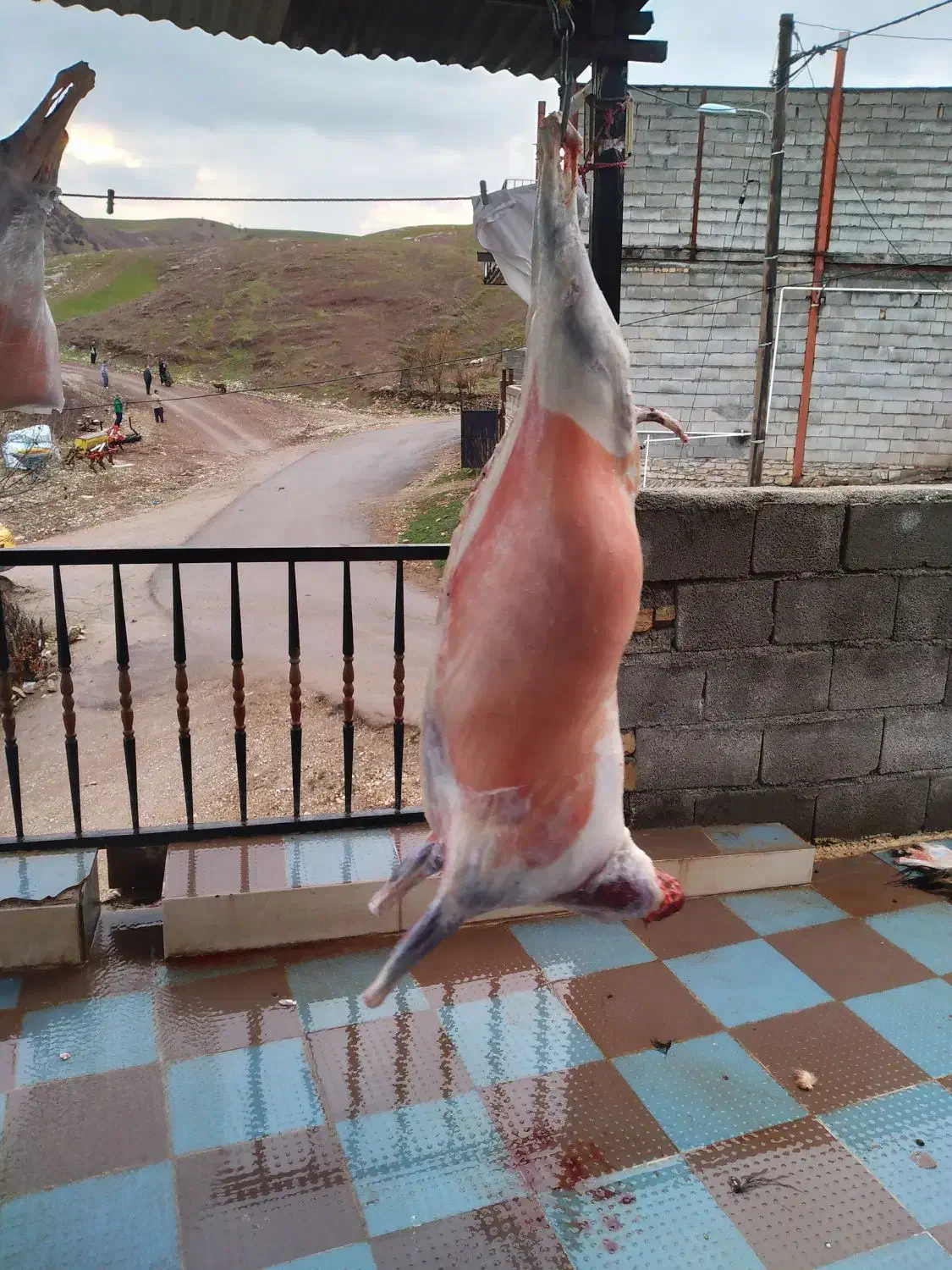 گوشت بزغاله درجه یک|خوردنی و آشامیدنی|جوانرود, |دیوار