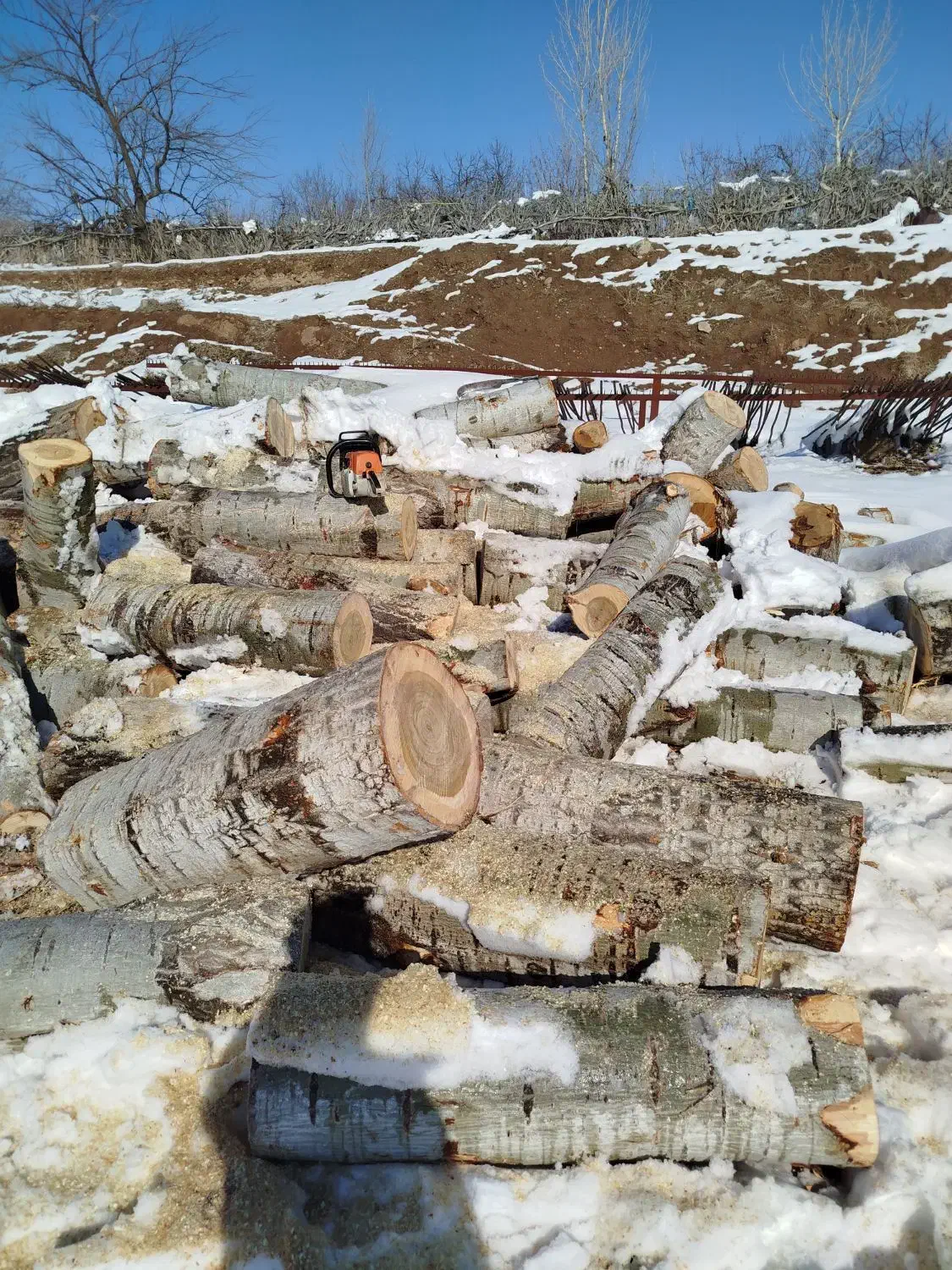 خرید درخت خرید چوب قطع برش تر وخشک|خدمات باغبانی و درختکاری|اهر, |دیوار