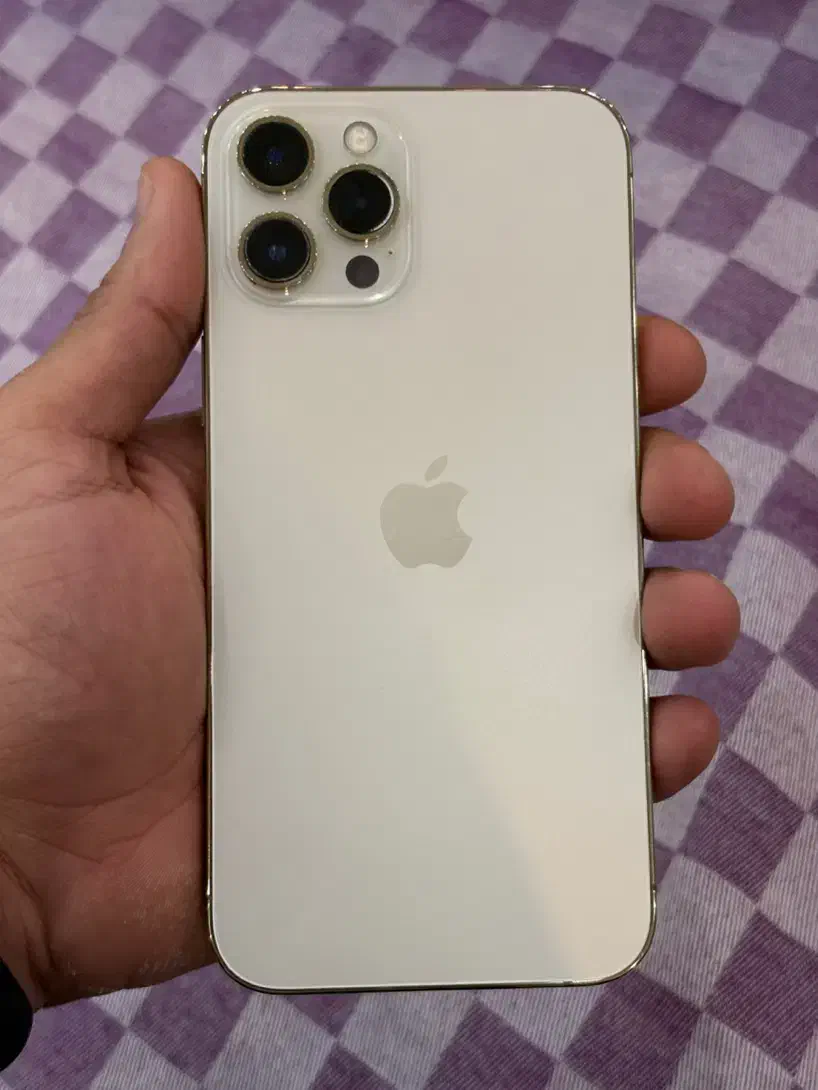 Iphone 12 pro max|موبایل|کازرون, |دیوار