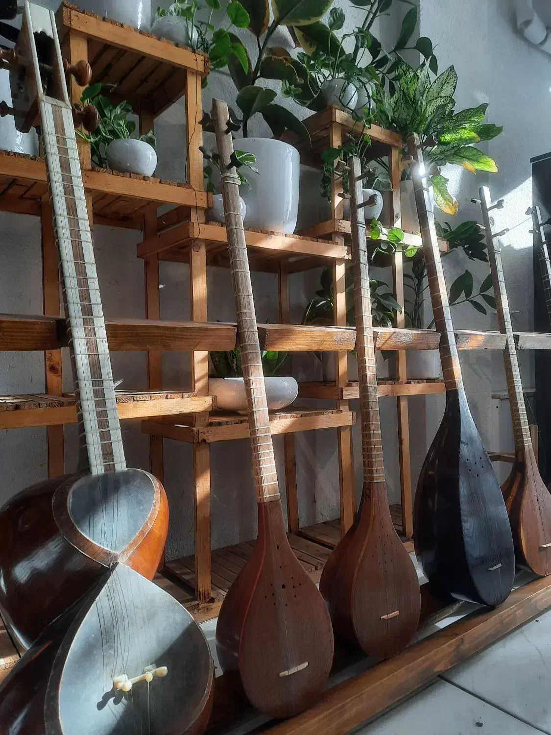 سنتور سه تار تنبور تار|سازهای سنتی|مینودشت, |دیوار