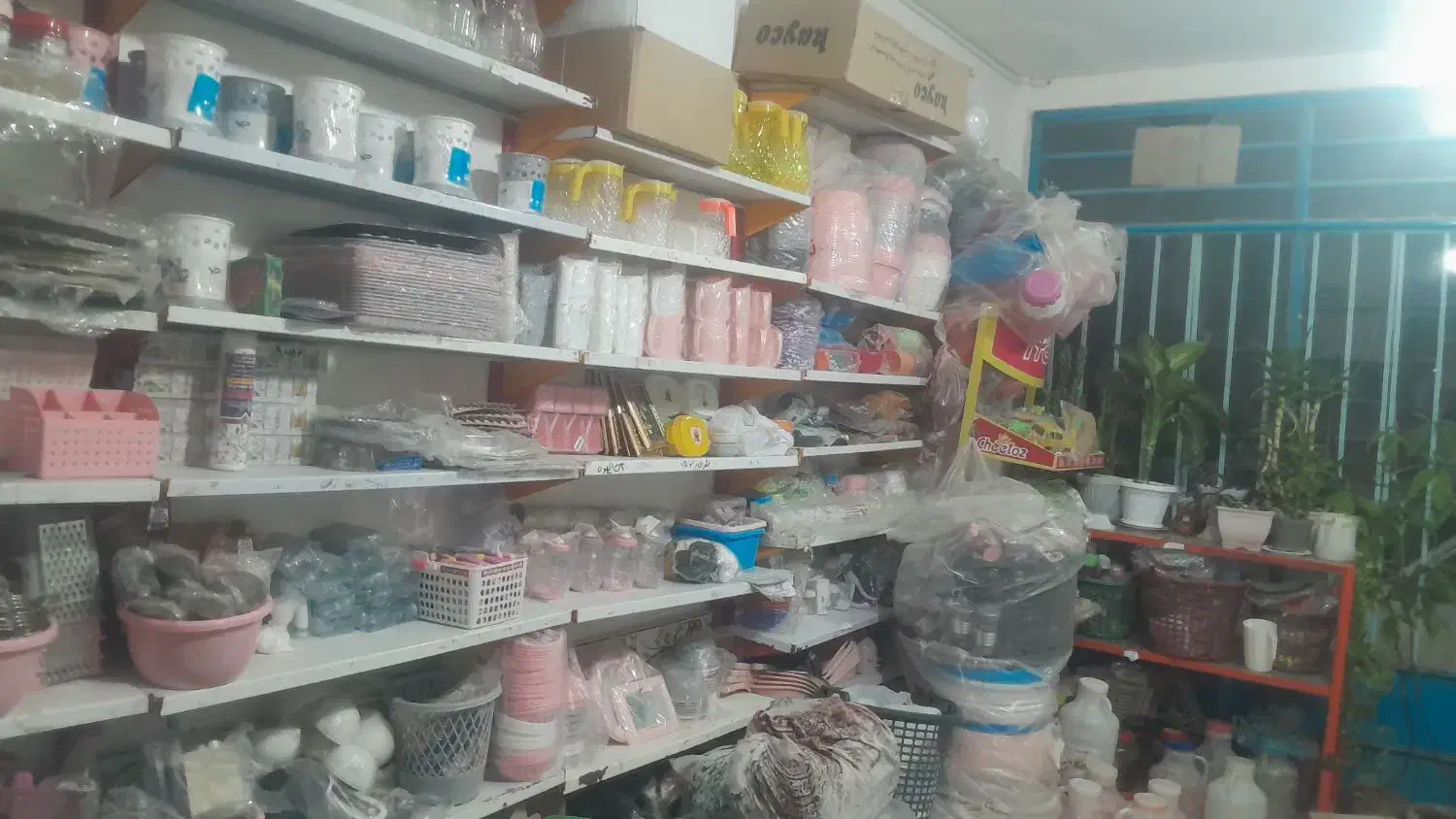 ظروف پلاستیکی|ظروف نگهدارنده، پلاستیکی، یکبارمصرف|قوچان, |دیوار