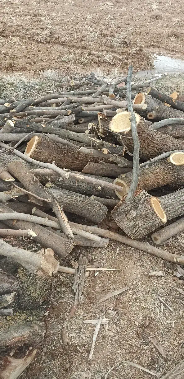 خریدار چوب|خدمات باغبانی و درختکاری|سنقر, |دیوار