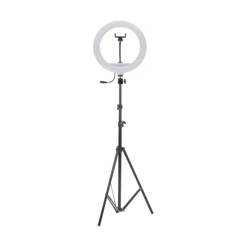 رینگ لایت|لوازم جانبی موبایل و تبلت|مریوان, |دیوار