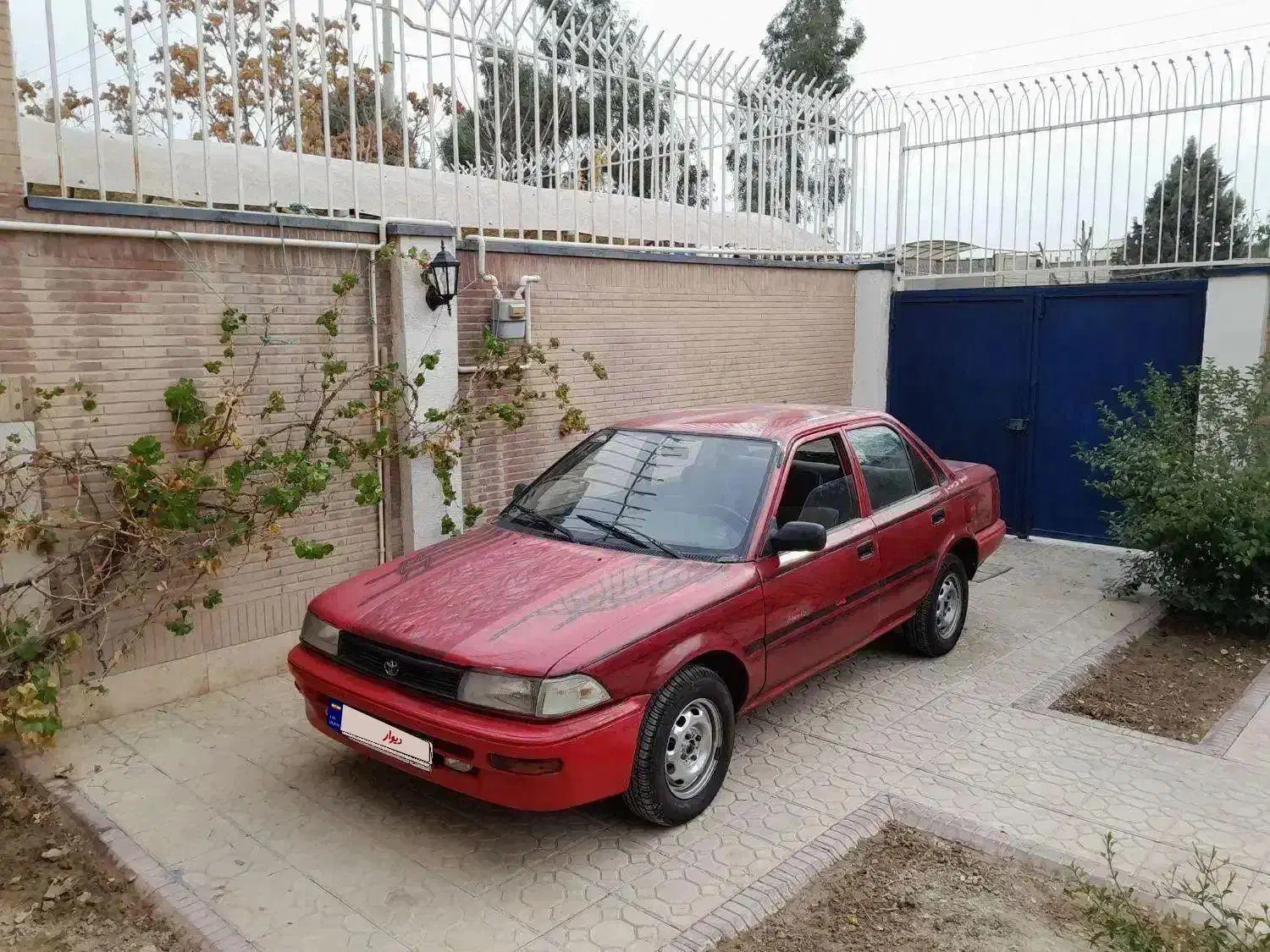 تویوتا کرولا وحشی|خودرو سواری و وانت|پرند, فاز ۵|دیوار