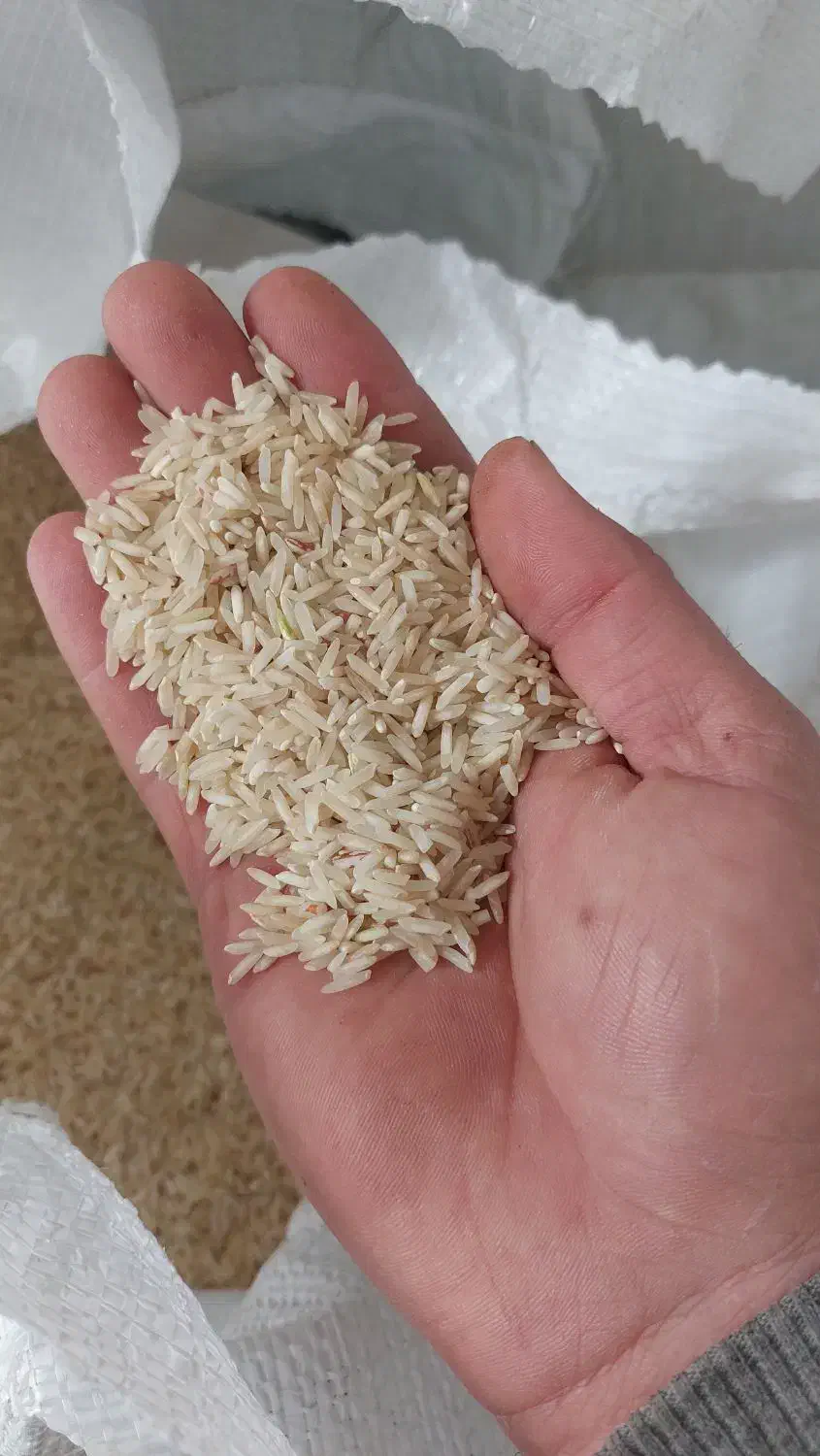 برنج ضیغمی|خوردنی و آشامیدنی|سیروان, |دیوار