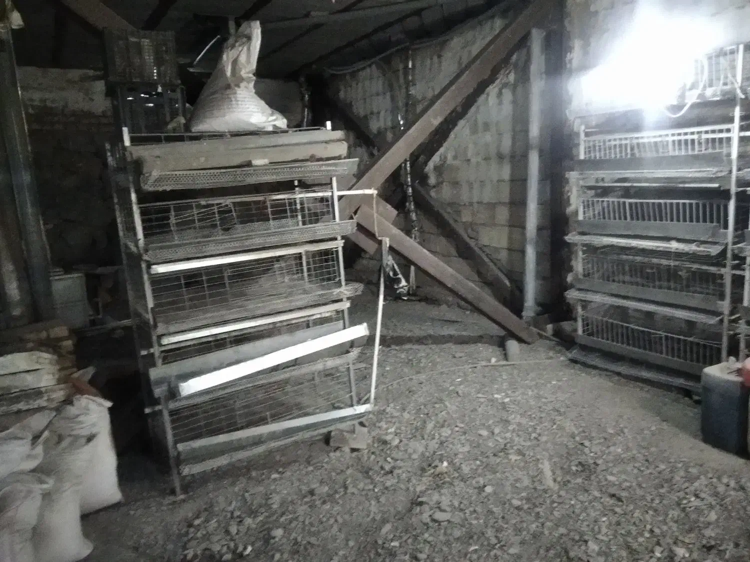 قفس بلدرچین تخم گذار|لوازم جانبی حیوانات|طرقبه, |دیوار