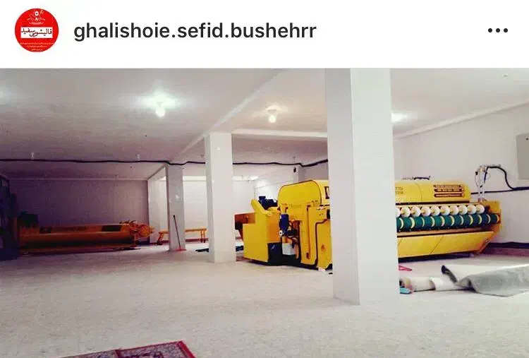 قالیشویی و مبل شویی سفید|خدمات نظافت|بوشهر, |دیوار