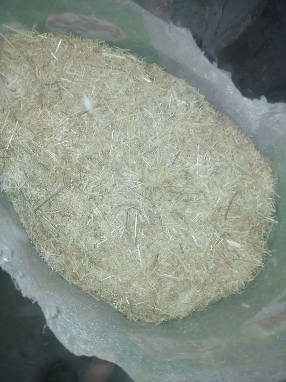 کاه گندم برای گاو گوسفند|لوازم جانبی حیوانات|سلماس, |دیوار