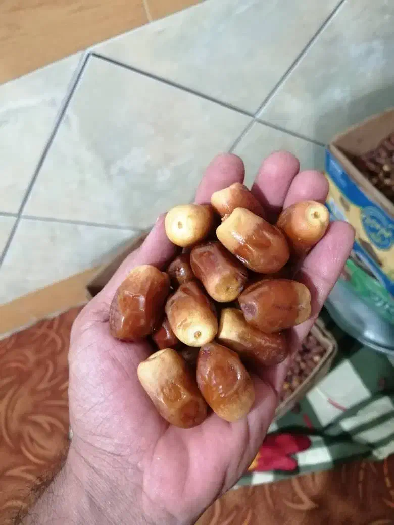 خرمای مضافتی بم  (سیاه) وخشک (زاهدی ) درجه ۱ لوکس|خوردنی و آشامیدنی|الوند, |دیوار