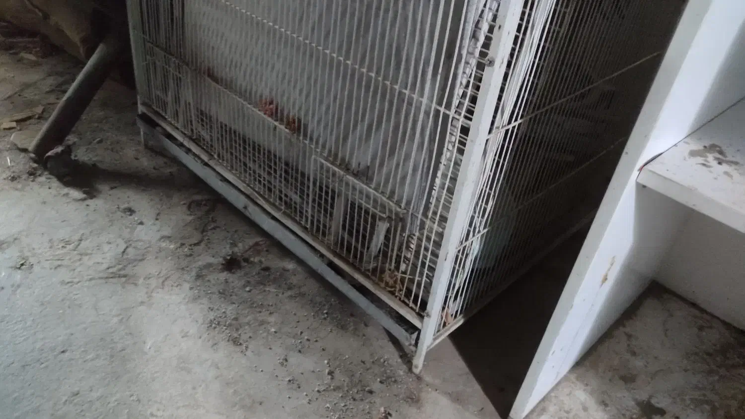 قفس وتخت خواب|لوازم جانبی حیوانات|بندر ماهشهر, |دیوار