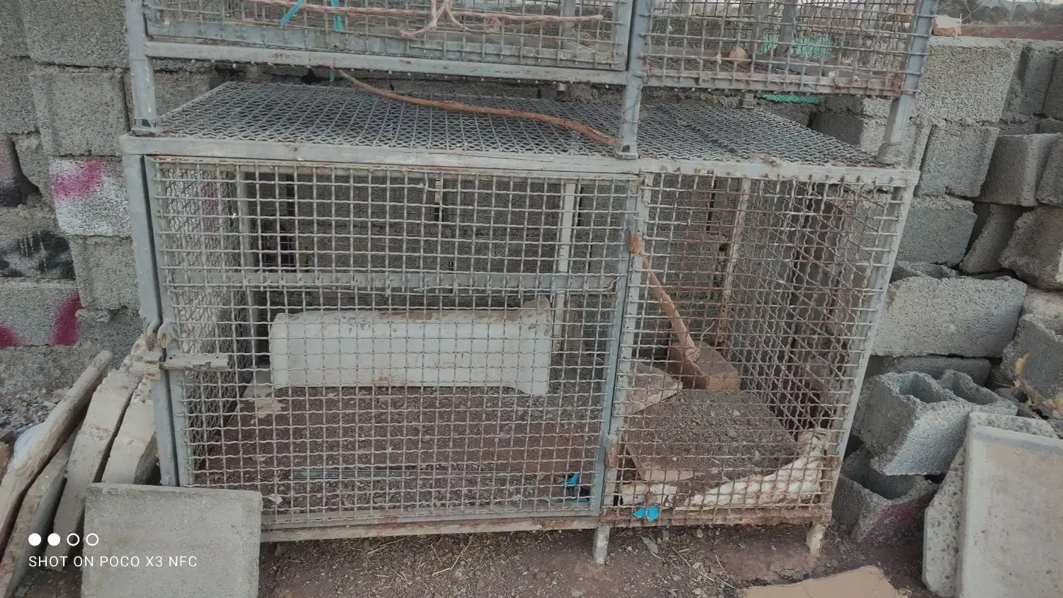 دو عدد قفس پرنده و... اهنی سالم و تمیز.|لوازم جانبی حیوانات|تهران, زرکش|دیوار